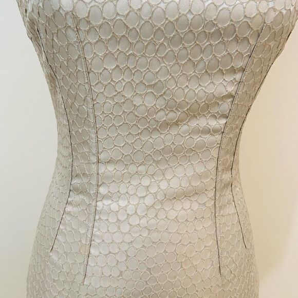 Eli Tahari sleeveless sheath fitted dress colorblock texture back exposed zipper - Picture 8 of 12